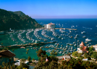 Excursion d'Une journée sur l'île de Catalina