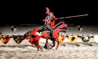 Medieval Times Dinner and Tournament with Transport