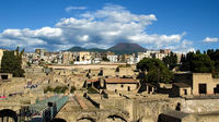 Herculaneum 2-Hour Private Guided Tour