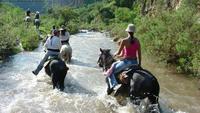 Canyon Horseback Riding Tour from San Miguel de Allende