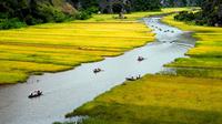 Full Day Hoa Lu and Tam Coc Tour from Hanoi Including Lunch