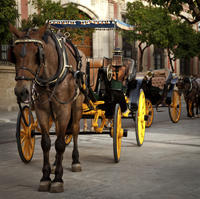 Private Horse and Carriage Tour of Seville