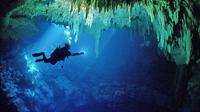 Cenotes 2-Tank Dive in Playa del Carmen