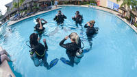 Open Water Diver 3-Day PADI Course in Playa del Carmen