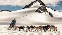 Helicopter Glacier Dog Sledding