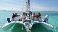 Private Catamaran Sail and Snorkel Tour in Cozumel