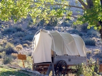 Grand Canyon Nordrand - Flug und Ranch Tour plus Übernachtung Grand Canyon Nordrand - Flug und Ranch Tour plus Übernachtung