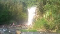 Private Tour: Ubud Nature Day Trip Including Money Forest and Balinese Dance