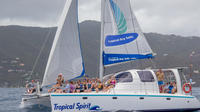 Private Day Sail in the British Virgin Islands