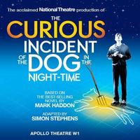 Le Bizarre Incident du chien pendant la nuit Theater Afficher