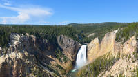 Yellowstone Lower Loop Nature and Wildlife Guided Tour