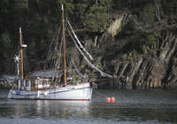 Croisière en soirée Dans un fjord norvégien
