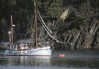 Tretimers norsk kveldscruise i en trebåt på Oslofjorden Tretimers norsk kveldscruise i en trebåt på Oslofjorden
