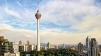 Half-Day City Tour with Kuala Lumpur Tower Entrance