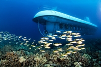 Oahu: aventure en sous-marin