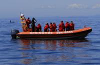 Croisière d'observation des baleines en zodiac à Victoria