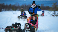 Drive a Husky Sled in Tromso image 1 Drive a Husky Sled in Tromso image 1