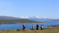 Hiking With Huskies from Tromso