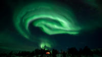Northern Lights Guided Sled Tour and Husky Visit from Tomso image 1 Northern Lights Guided Sled Tour and Husky Visit from Tomso image 1