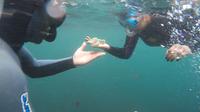 Azores Snorkeling Experience