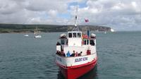 Poole Harbour and Island Cruise from Poole