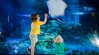 SeaLife London Aquarium with Thames River Sightseeing Cruise