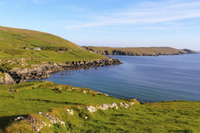 Excursion d'Une journée complète de l'Anneau du Kerry