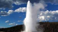 Yellowstone National Park Full-Day Guided Tour