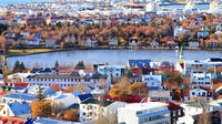  Private Sightseeing Tour in Reykjavik 