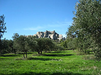 Arles, les Baux et Saint-Rémy-de-Provence au départ de Marseille