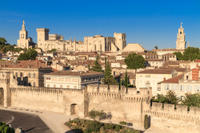 Private Tour: Avignon Half-Day Trip from Marseille