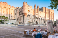 Tour du bord de mer de Marseille : visite privée d'Avignon et de Chateauneuf-du-Pape