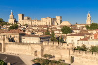 Tour privé : excursion d'une demi-journée à Avignon, au départ de Marseille