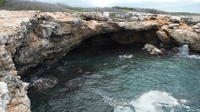  Guanica Dry Forest Day Trip with Snorkeling from San Juan