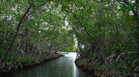 Key Hoping, Snorkeling and Bioluminescent Bay Tour