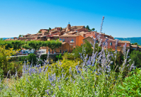 Tour privé en Provence : excursion d'une journée dans les villages du Lubéron et les champs de lavande, au départ d'Avignon