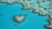 Vol panoramique au-dessus de la barrière de corail et des îles au départ d'Airlie Beach image 1 Vol panoramique au-dessus de la barrière de corail et des îles au départ d'Airlie Beach image 1