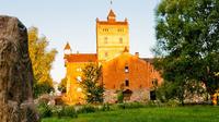 Radomysl Castle Museum of Ukrainian Home Icons from Kiev