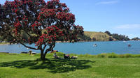 Explorez l'île Motutapu de Auckland