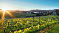 Off Track Waiheke Île Wine Trail Battu d'Auckland