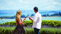 Waiheke Island Gourmet Food and Wine Experience de Auckland