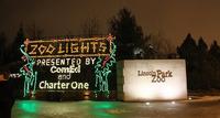 Visite des Lumières de Noël en tramway et Visite du marché de Noël à Chicago