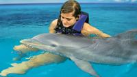 Dolphin Cove Adventures from Montego Bay