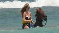 Ziplining, Horseback Riding and Swimming Combo Tour from Runaway Bay