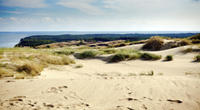 Private Tour: Curonian Spit National Park Day Trip from Vilnius