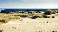 Private Tour: Curonian Spit National Park Day Trip from Vilnius