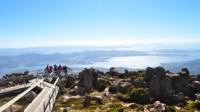 Mount Wellington and Tasmanian Devil Day Trip from Hobart