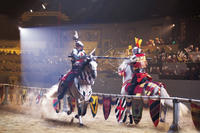 Medieval Times Dinner and Tournament Buena Park