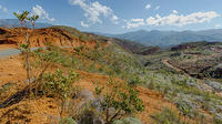 Half-Day Cultural or Botanical New Caledonia Tour from Nouméa