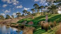 Excursion au bord de mer d'Auckland: visite en petit groupe du décor de cinéma Hobbiton
